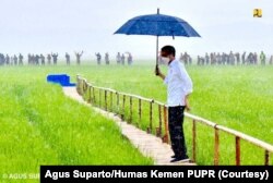 Presiden Joko Widodo meninjau kawasan lumbung pangan di Desa Makata Keri, Kecamatan Katiku Tana, Kabupaten Sumba Tengah, Selasa, 23 Februari 2021.(Foto: Agus Suparto/Humas Kemen PUPR)