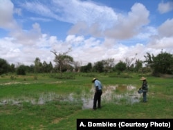 Researcher and field assistant taking measurements on a puddle in Zindarou, southwestern Niger.