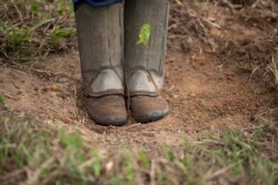 Petugas dari LSM Onda Verde Marcos Andre Santos, berdiri di samping bibit jambu biji yang telah ditanamnya di Hutan Atlantik, Kotamadya Japeri, negara bagian Rio de Janeiro, Brasil, Rabu, 21 April 2021.