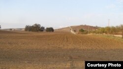 Los-Anjeles shahri yaqinidagi qurilish uchun tanlangan maydon