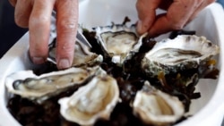 صدف خوراکی یکی از غذاهای مشهور بحری است