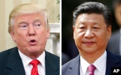 Donald Trump, Xi Jinping