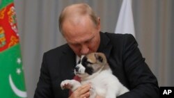 FILE - Russian President Vladimir Putin holds a puppy presented to him by Turkmenistan's President Gurbanguly Berdymukhamedov during their meeting in the Bocharov Ruchei residence in the Black Sea resort of Sochi, Russia, Oct. 11, 2017.