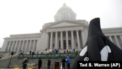 Inflatable orca at the Washington Legislature at the Capitol in Olympia, Wash
