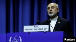 Ali Akbar Salehi, ketua Badan Tenaga Atom Iran. (Foto: dok)