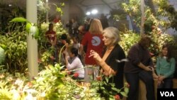 The "Butterflies + Plants: Partners in Evolution" exhibition at the Smithsonian's National Museum of Natural History. (VOA/J. Taboh)