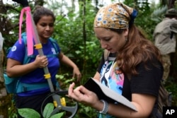 In this Nov. 6, 2018 photo, animal science intern Viviana Berdecia, left, watches forest biologist Jessica Ilse record data near the Iguaca Aviary at El Yunque, Puerto Rico. (AP Photo/Carlos Giusti)