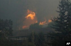 A tree catches fire near houses in the Oakmont area of Santa Rosa, California, Oct. 10, 2017.