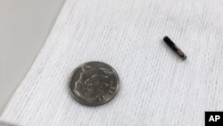 A microchip is shown compared with a dime, Aug. 1, 2017, at Three Square Market in River Falls, Wis., where the company held a "chip party" for employees who volunteered to have the microchip embedded in their hands.