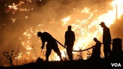 მეხანძრეებმა, მეტყევეებმა, მაშველებმა და მფრინავებმა მასშტაბური ხანძრის დროს სამოქალაქო გმირობის მაგალითები გვიჩვენეს