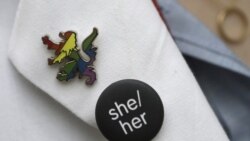 Feroe displays a button resembling a Harvard School of Medicine coat of arms lion, in rainbow colors that symbolize LGBTQ pride, left, and a button featuring pronouns, center, on the lapel of her lab coat.