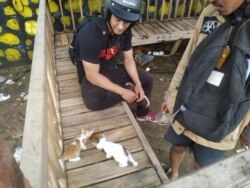 Sukarelawan memberikan pakan kepada dua kucing di Gowa, Sulawesi Selatan. (Courtesy: Feed Not Bomb Gowa)