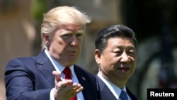U.S. President Donald Trump and China's President Xi Jinping met at the Mar-a-Lago estate in Palm Beach, Florida.