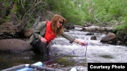 A researcher measures the productivity of algae in a stream. (Brad Cardinale)