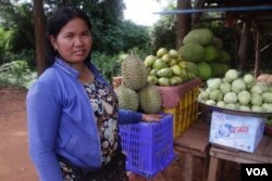 អ្នកស្រី សុន ផល អាយុ​៣៨ឆ្នាំ ប្រជាពលរដ្ឋ​រស់នៅ​ក្នុង​ភូមិ​ទី​មួយ ឃុំ​ត្រែង​ត្រយឹង ស្រុក​ភ្នំស្រួច ខេត្ត​កំពង់ស្ពឺ មាន​មុខរបរ​លក់​ដូរ​ផ្លែឈើ តាម​បណ្តោយ​ផ្លូវ​ជាតិ​លេខ​៤។ (ស៊ុន ណារិន/VOA)