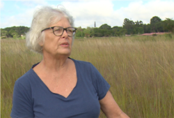 Dorothy Wakeling of the conservation group Harare Wetlands Trust says people are disturbing wetlands which are supposed to be gradually releasing water into the city’s water bodies.