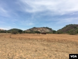 Despite forecasts of above-average rainfall, some of parts of Zimbabwe have yet to receive rains a month after the beginning of the season.