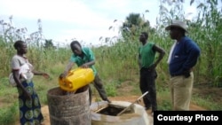 Mamadou Dia et des planteurs de Manabougou, Mali (archives)