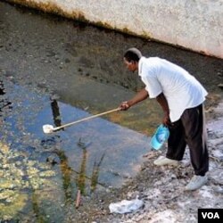 Salah seorang petugas mengambil sampel larva nyamuk di sebuah kolam yang tidak terurus di Malindi, Kenya.
