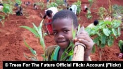 ህጻናት አትክልት እየተከሉ /ፋይል ፎቶ - ከትሪስ ፎር ዘ ፉውቸር የተባለ ድርጅት የፍሊከር አካውንት የተገኘ ፎቶ/