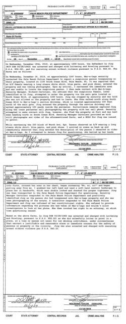 警方逮捕嫌疑人卢晶(音译)时签署的两页《合理根据宣誓书》。