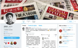 环球时报总编胡锡进推特页面截图