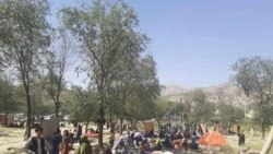 سازمان های بین المللی گفته اند که در سال ۲۰۲۱ نزدیک به ۵۰۰ هزار نفر در سراسر افغانستان آواره شدند