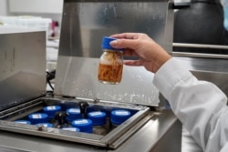 A bottle with wood from quillay tree, or Soapbark tree (Quillaja saponaria), which are native to Chile and contain a substance that can be used in coronavirus disease (COVID-19) vaccines, is shown in a laboratory at a nursery operated by U.S.-based Desert King International.