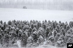 FILE - A lone Jeep travels away from a tree farm in Blair, Nebraska, Feb. 24, 2017.