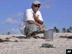 Florida's beaches and wildlife are a draw for tourists.