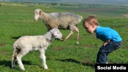 კეილებ სმიტი