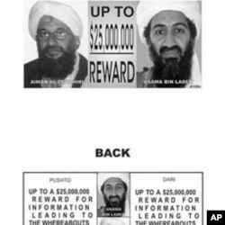 Al-Qaida Names Egyptian Zawahri as New Leader