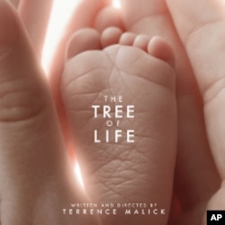 "Tree of Live" contemplates the origins of the universe and explores the meaning of life.