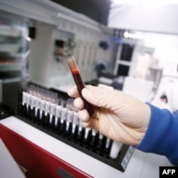 Internet asrida shifokor-bemor qanday gaplashmoqda?