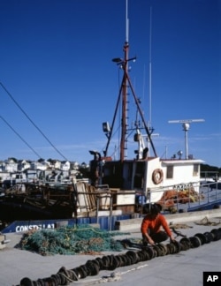 A Gloucester fisherman dries and repairs his net