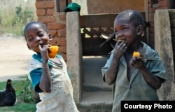 FILE - Children are seen enjoying orange sweet potatoes. (Courtesy - HarvestPlus)