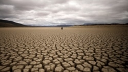 In this photo taken on Sunday, Oct. 27, 2019, a pool that used to be a water supply is seen in Mana Pools National Park, Zimbabwe. (AP Photo/Tsvangirayi Mukwazhi)