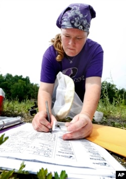 Volunteer Shaina Helsel records data after capturing a bumblebee in Gardner, Maine, July 10, 2015.