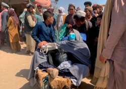 A porter pushes a wheelbarrow carrying an elderly Afghan woman with her family as they enter into Pakistan from Afghanistan at a border crossing, in Chaman, Pakistan, Thursday, Aug. 19, 2021.