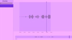 ფარული ჩანაწერები