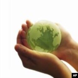 A New Wave of Green Business Emerges in Britain