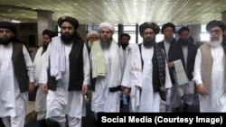 Tolibon O'zbekistonda (Social Media)