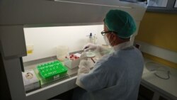 Teufik Goletić (Izvor: Veterinarski fakultet UNSA)