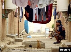 A cat sits near an Asian worker at his accommodation in Qadisiya labor camp, Saudi Arabia, Aug. 17, 2016.