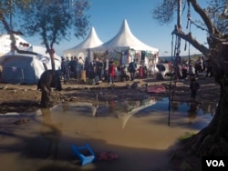 Refugees queue for tea and hot drinks after they arrive near the port on the southern part of Lesbos, Greece, Jan. 23, 2016. (H. Elrasam/VOA)