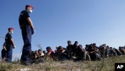 Migrants wait after crossing a border from Croatia near Hungary.