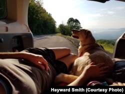People driving along the Blue Ridge Parkway are treated to almost endless scenery of the Appalachian Mountains.