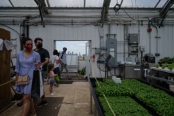 Pelanggan berdatangan ke Brooklyn Grange di wilayah Brooklyn, New York City, 23 Mei 2021. (AFP)