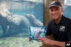 In this Tuesday, June 26, 2018 photo, Cincinnati Zoo & Botanical Garden Thane Maynard poses for a photograph beside the enclosure of Fiona, their baby Nile Hippopotamus, in Cincinnati.