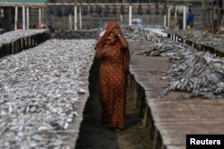 FILE - A Rohingya refugee woman walks through Nazirartek fish drying yard where she works, in Cox's Bazar, Bangladesh, March 23, 2018.